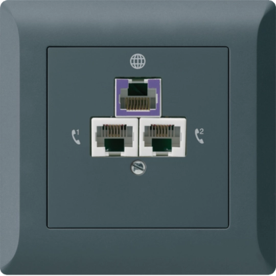 WH55401604C - UP-Rückführdose kallysto.line für 2 DSL anthrazit