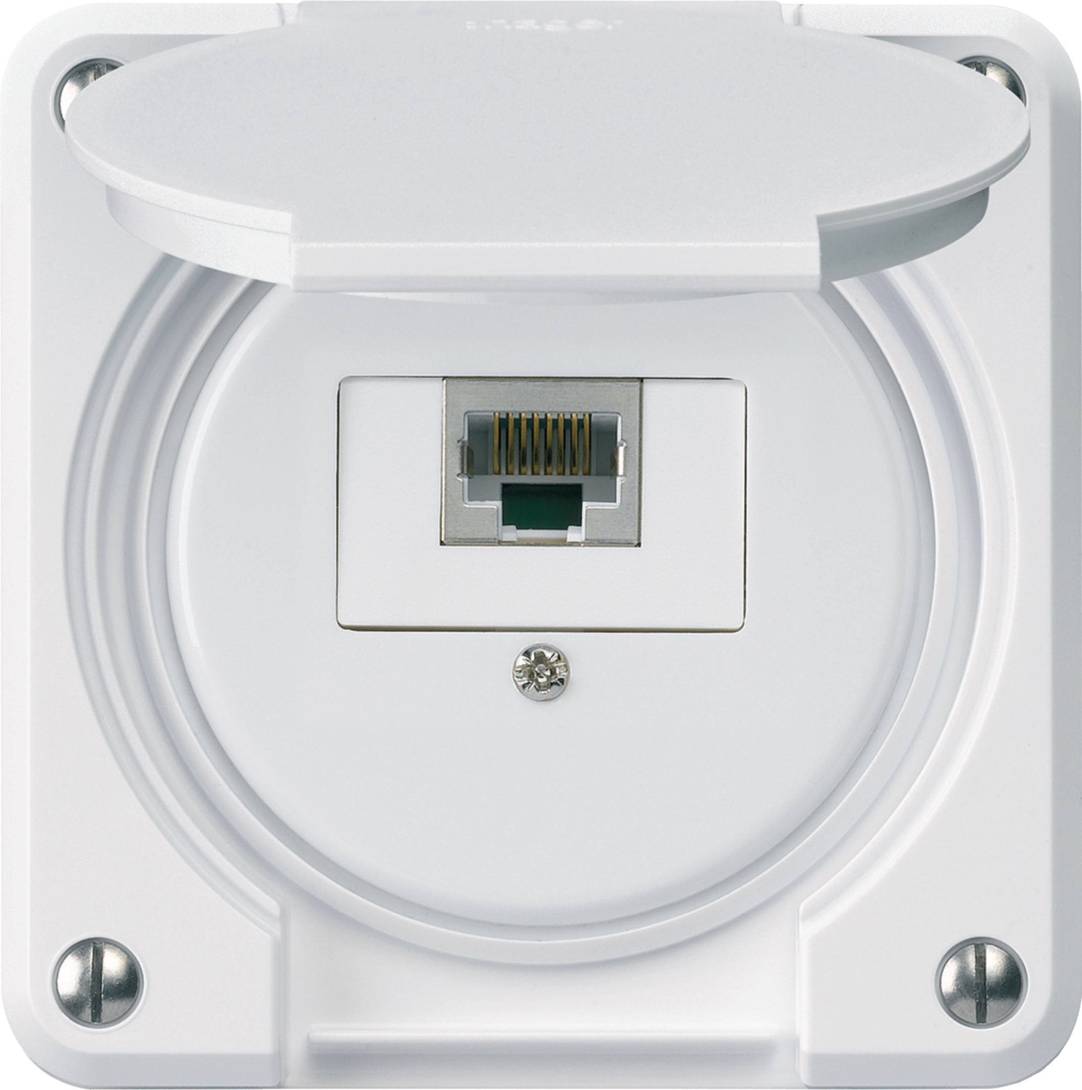 WH65400900C - Boîte de raccordement ENC robusto IP55 blanc 1×RJ45/s
