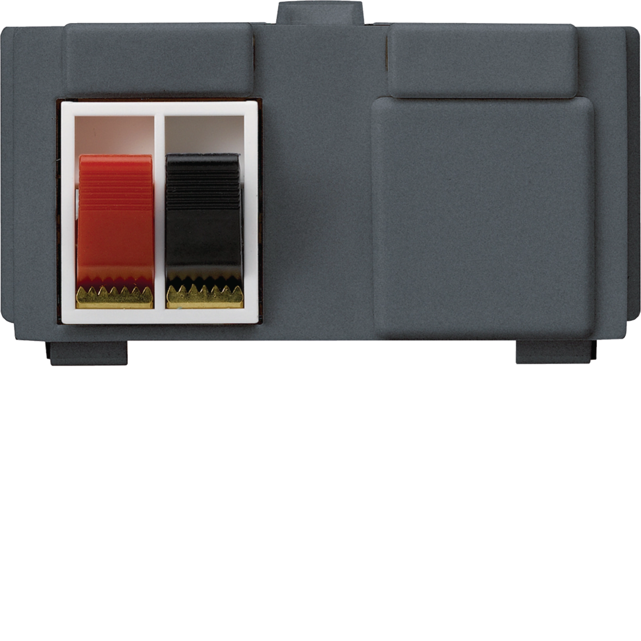 WH72531804Z - Module multimédia M3 avec 2×LS bornes rouge-noir kallysto anthracite
