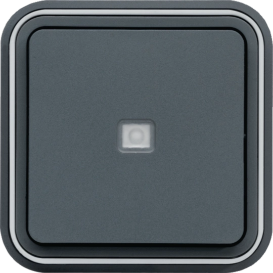 WNE023 - Pulsador con indicador luminoso, empotrar, gris