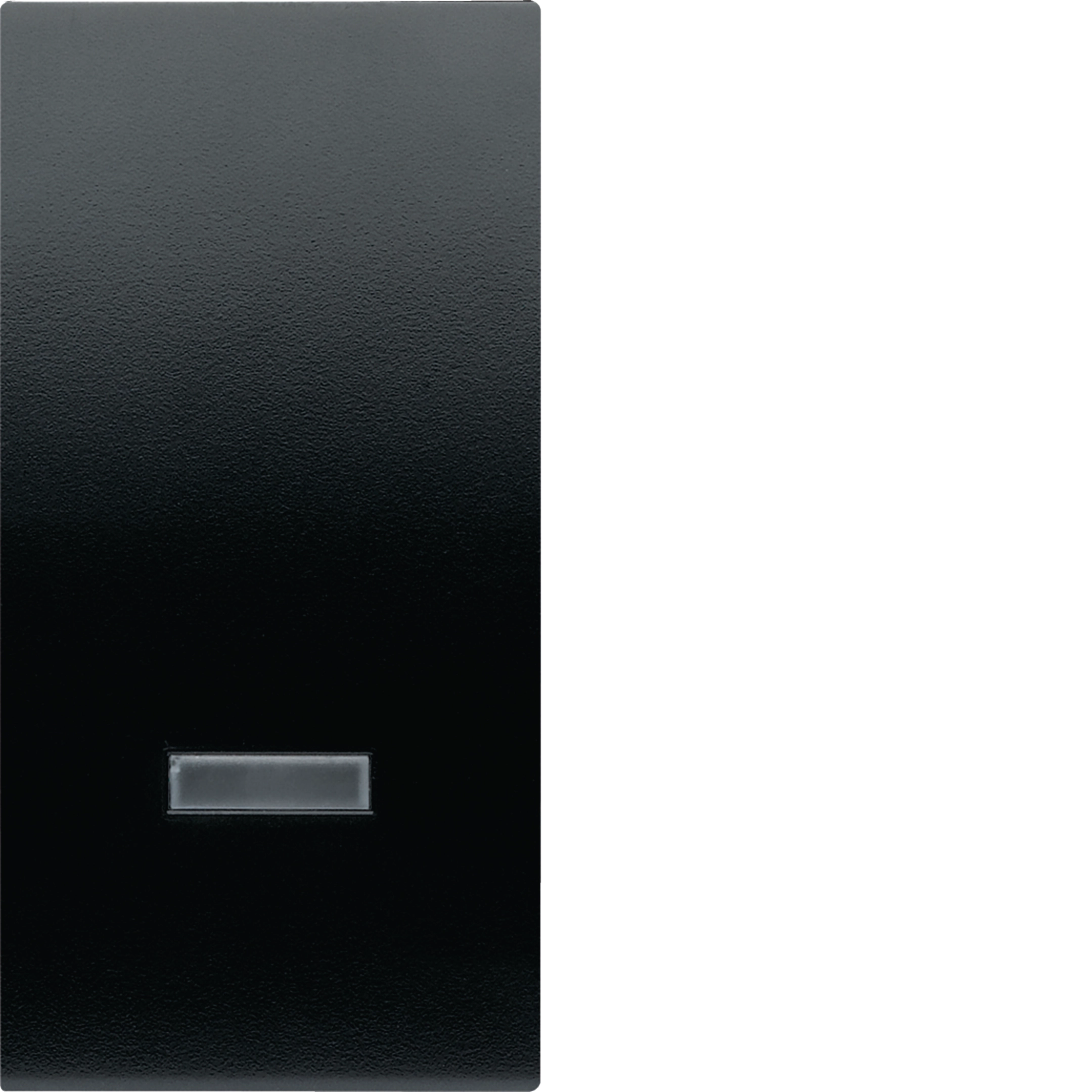 Reservoir à poussieres 48031220 pour Aspirateur HOOVER H-FREE 100 Reservoir à poussieres 48031220 pour Aspirateur HOOVER H-FREE 100