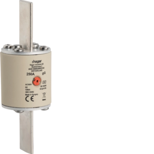G2GG250 - Sicherungseinsatz SEV Grösse 2 500V~ 250A