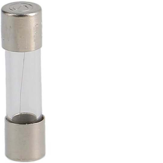 L520FK00-250 - Feinsicherungen 5x20mm, Auslösecharakteristik F-flink 0,25A