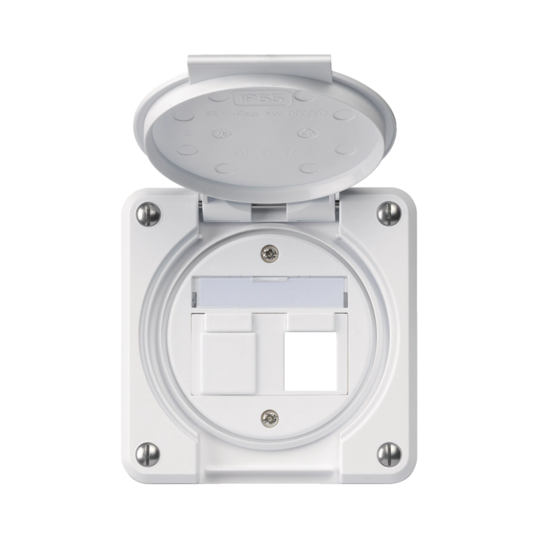 Image de la catégorie