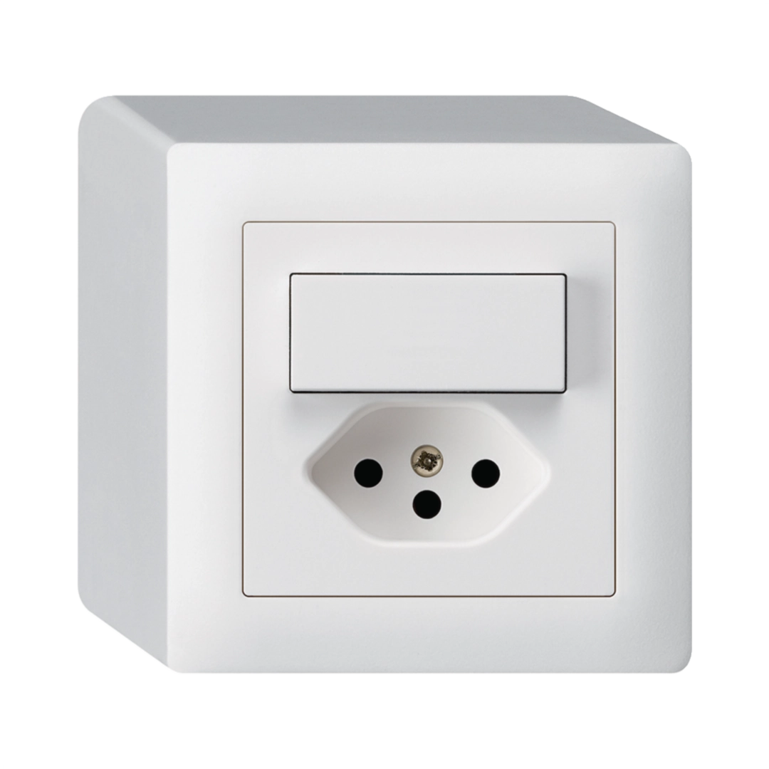 Image de la catégorie