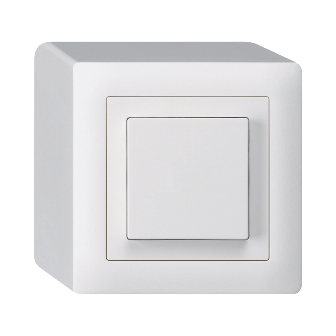 Image de la catégorie