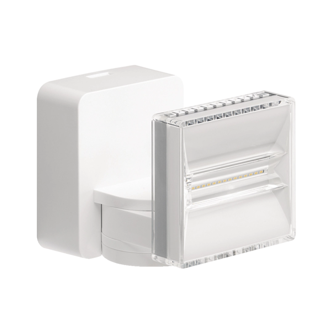 Image de la catégorie