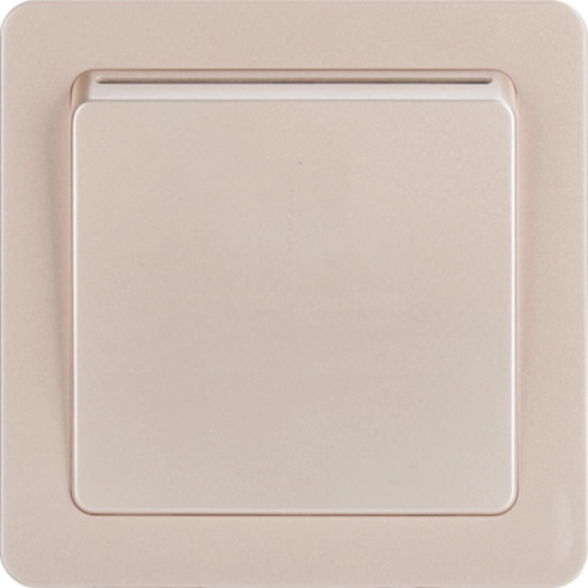 WGCXHKTMEG - 16A key tag switch - mechanical;eg