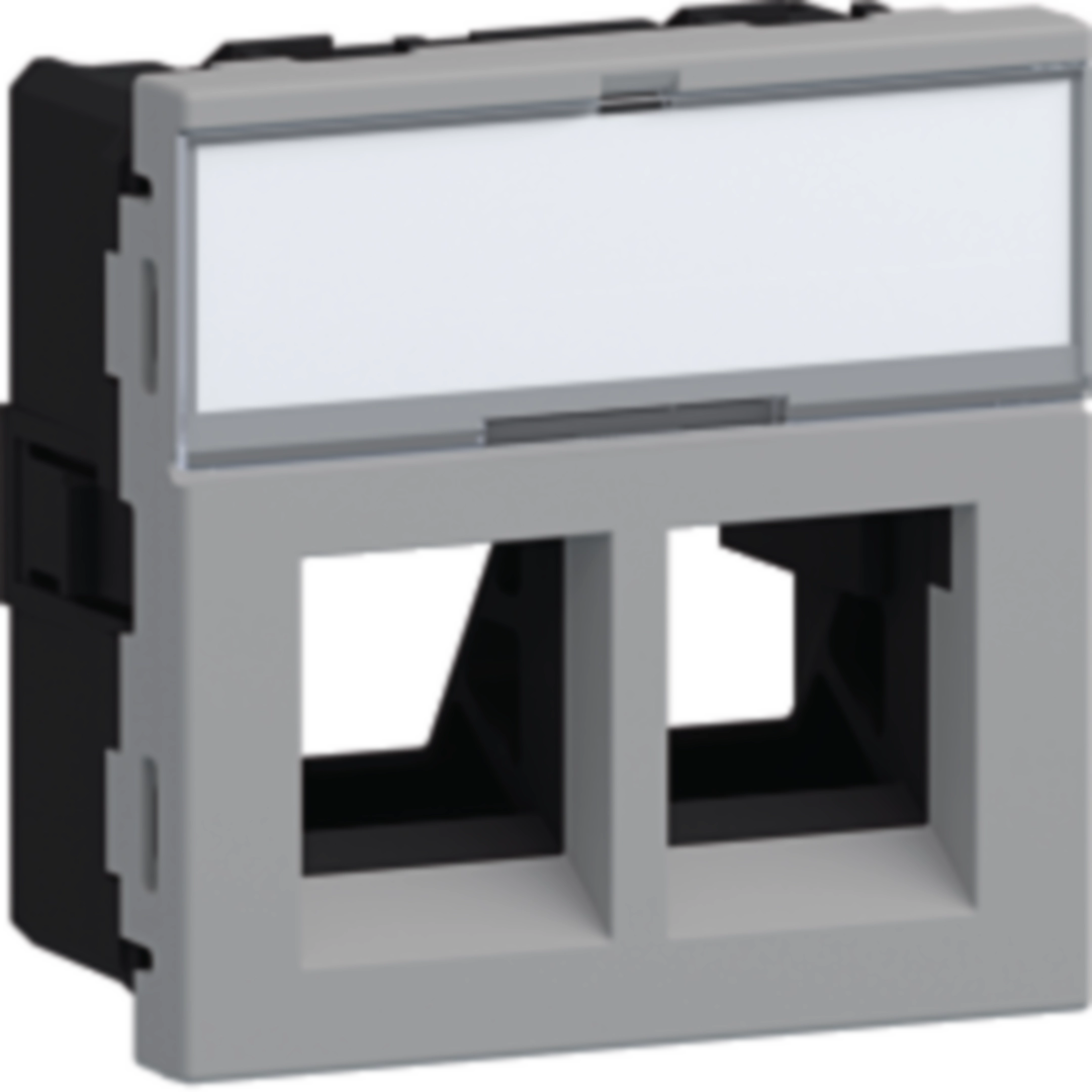 Geräteeinbauset für 2x RJ45 Typ 01 Direkt Klipping 45x45 Aluminium