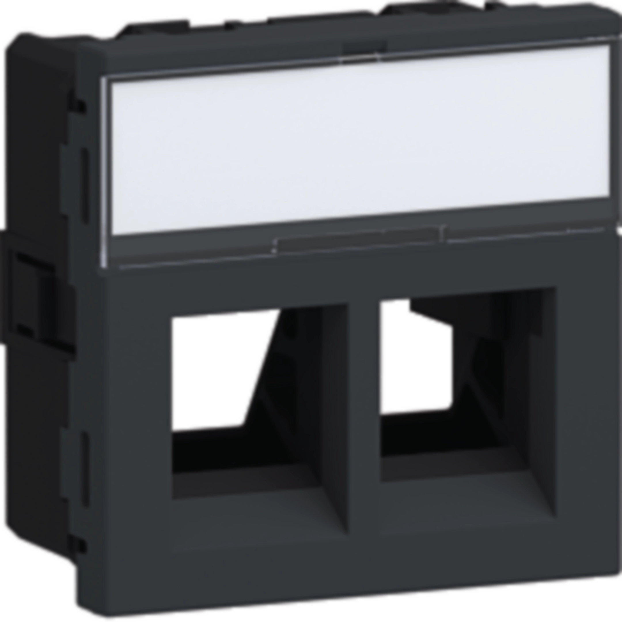 Geräteeinbauset für 2x RJ45 Typ 01 Direkt Klipping 45x45 Graphitschwarz