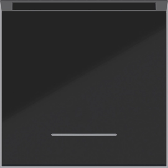 WAF1020BG - Zentralstück für Taster Hotelcard, kl. Linse, A.x/C.x, n.schwarz gl