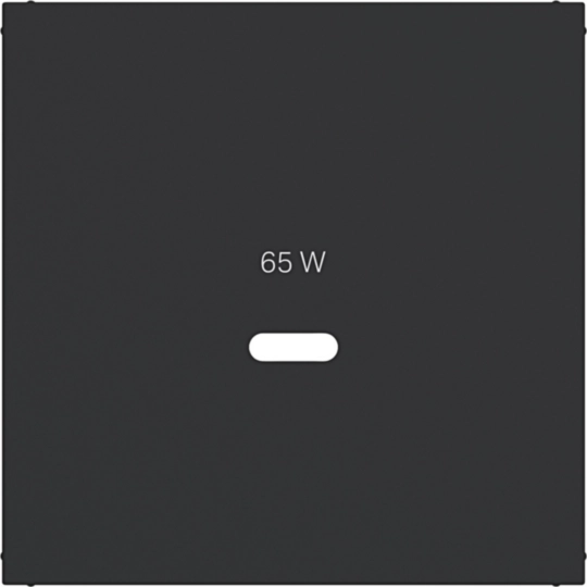 WAF1511BM - Centraalplaat voor USB-C-contactdoos, A.x/C.x, nachtzwart mat