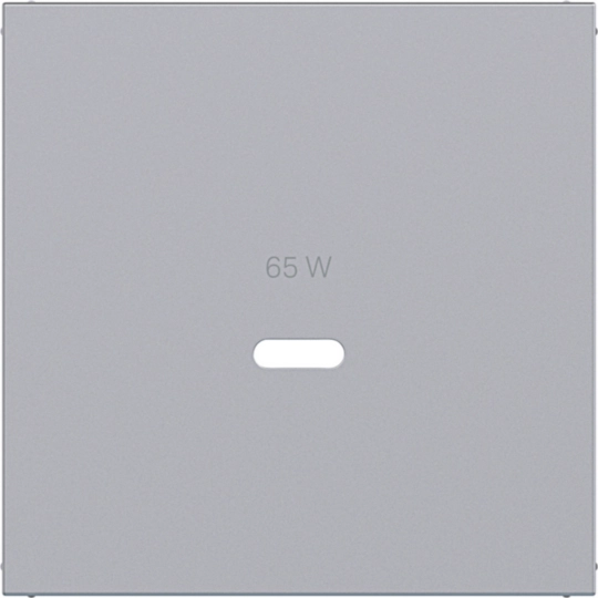 WAF1511TA - Zentralstück für Ladesteckdose USB-C Power Modul, A.x/C.x, titan met lackiert