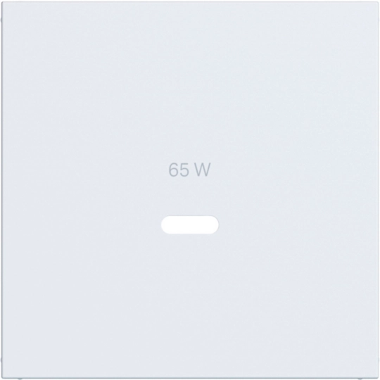 WAF1511WM - Zentralstück für Ladesteckdose USB-C Power Modul, A.x/C.x, lichtweiß matt