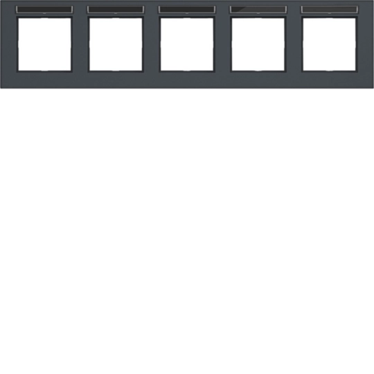 WAD8502AT - Rahmen 5fach waagerecht, Beschriftungsfeld, A.8, anthrazit matt, lackiert