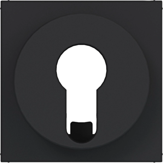 WAF1312BM - Centr.pl. jaloezieschak./impulsdr. DIN-cilinder A.x/C.x zw. mat