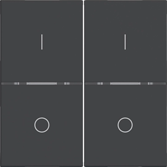 WAN7021BM - Abdeckung 2fach I/O für Taster, A.x/C.x, nachtschwarz matt