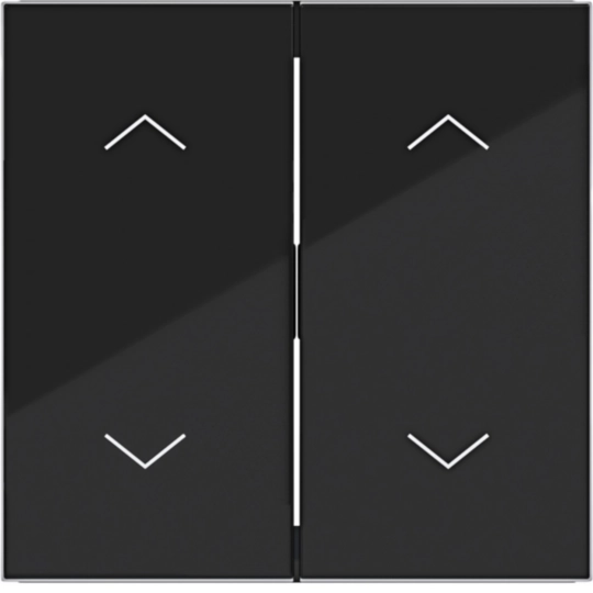 WAW2002BG - Wippe 2fach mit Aufdruck Symbol Pfeile, A.x/C.x, nachtschwarz glänzend