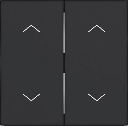 WAW2002BM - Wippe 2fach mit Aufdruck Symbol Pfeile, A.x/C.x, nachtschwarz matt