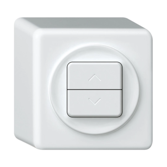 Image de la catégorie