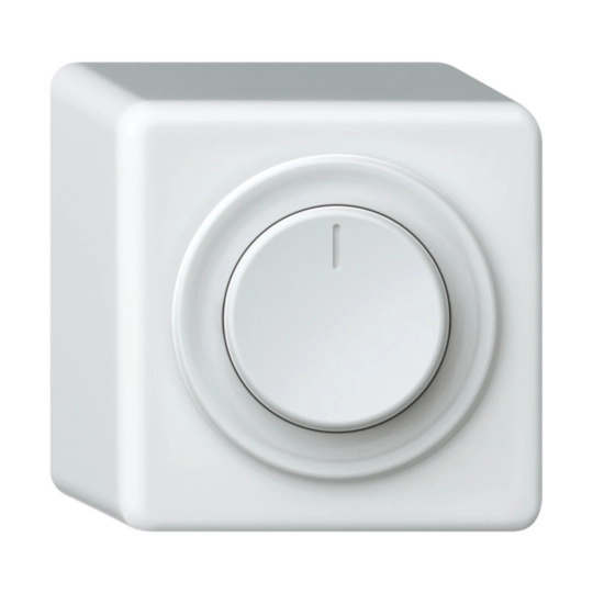 Image de la catégorie