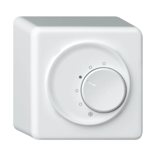 Image de la catégorie