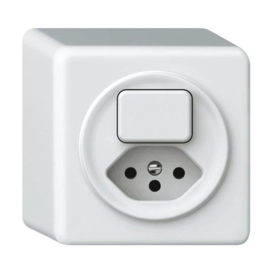 Image de la catégorie