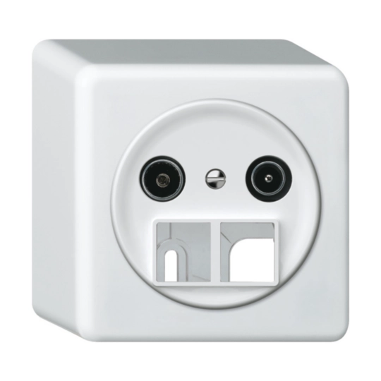 Image de la catégorie