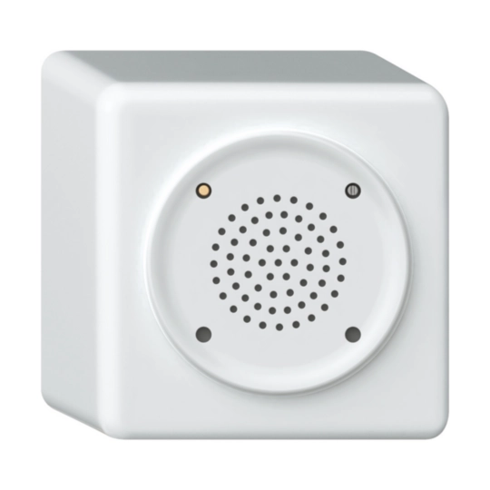 Image de la catégorie