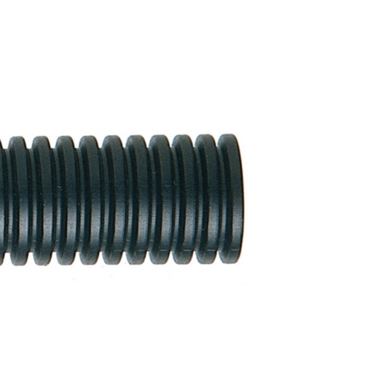 Immagine della categoria