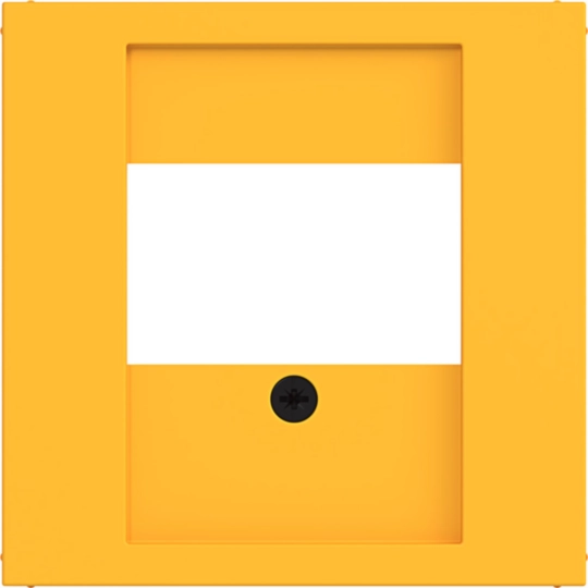 WAF1106C16 - Centrumbricka för TDO-uttag, Ax/Cx, saffron, matt